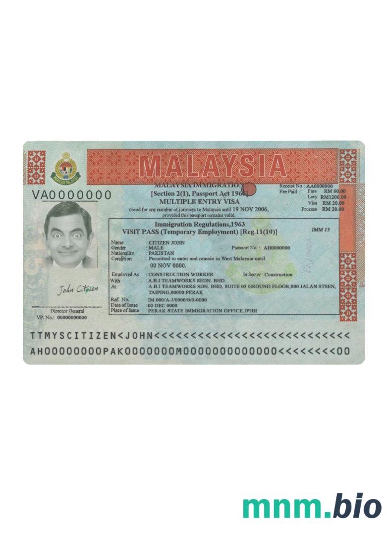 Malaysia multiple entry visa version 2